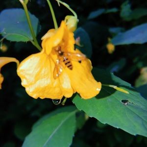 Meet your Posher, Mia